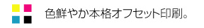 色鮮やか本格オフセット印刷